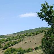 زمین ییلاقی