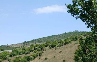 زمین ییلاقی