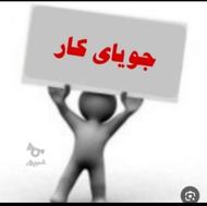 جویای کار دفتری