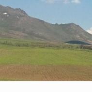 22000 در روستای گونه باخان