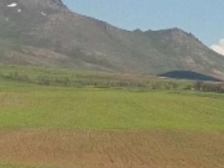 22000 در روستای گونه باخان