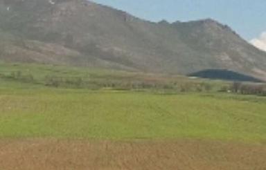 22000 در روستای گونه باخان