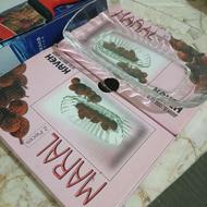 ظرف شکلاتخوری و چاقو