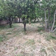 فروش 380متر مربع زمین خانه سری
