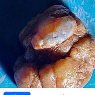 سنگ نایاب فسیل