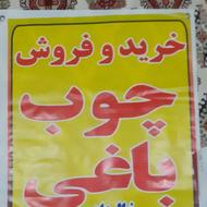 خرید و فروش چوب باغی وصنعتی