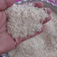 طارم هاشمی ممتاز