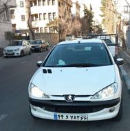 دوگانه سوز شرکتی سفارشی 206SD