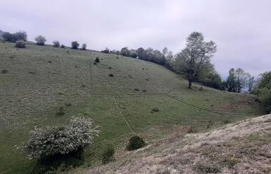 فروش زمین روستای سما