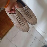 کتانیاسکچرز (Skechers)،