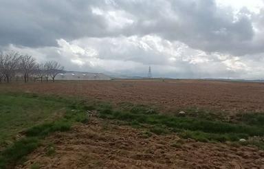 زمین کشاورزی شاهزید