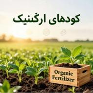 نمایندگی کودهای ارگانیک