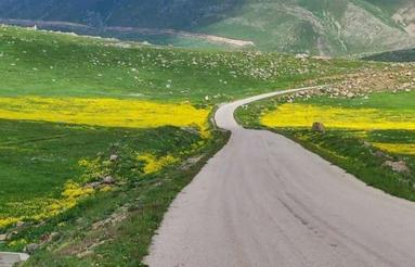 فروش زمین مسکونی