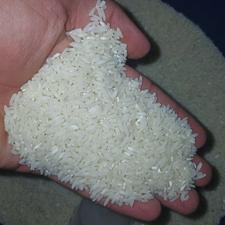 برنج طارم هاشمی
