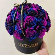 تدریس عربی و قرآن برای دانش آموزان