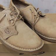 کفش مردانه Timberland