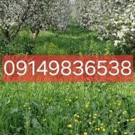 خریدار پیکان پراید اردی پ کی درب داغون هم باشه مشکلی نیست