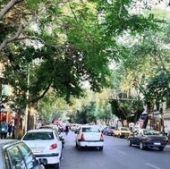 زمین کلنگی بحر اصلی