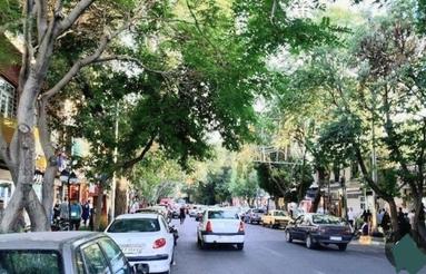 زمین کلنگی بحر اصلی