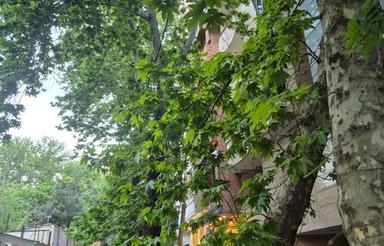150متر اداری 4 خواب دو پارکینگ