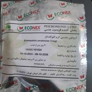 فرمون کرم گلوگاه انار