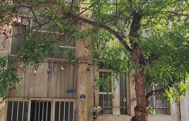 کلنگی جنوبی نبرد شمالی