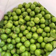 گوجه سبز ساده