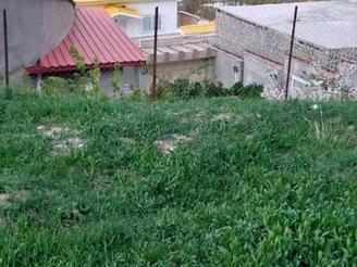 زمین ییلاقی کوهستان مسکونی 250 متر در نیاک بهشت پنهان