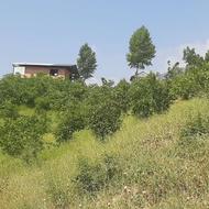 فروش باغ و خونه باغ در سوادکوه مازندران