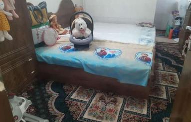 منزل سرسبز و حیاط دار