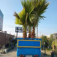 حمل نقل بار
