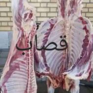 ذبح و قصابی گوسفند