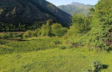 زمین باغی شیرین اباد