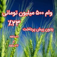 وام 500 میلیون تومانی؛بدون پیش پرداخت
