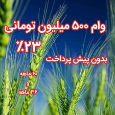 وام 500 میلیون تومانی؛بدون پیش پرداخت