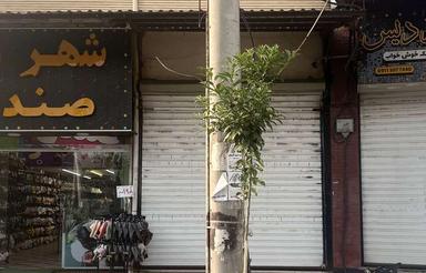 مغازه دور محوطه اصلی امامزاده یحیی