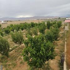 3700 متر باغ ویلا فروشی