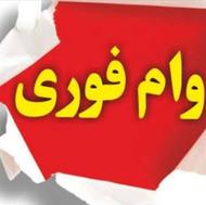 جذب ضامن و وام