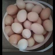 تخم مرغ طبیعی