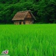 کسب و کار اینترنتی و فروش