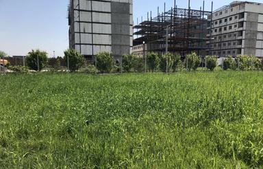1250 متر زمین کشاورزی
