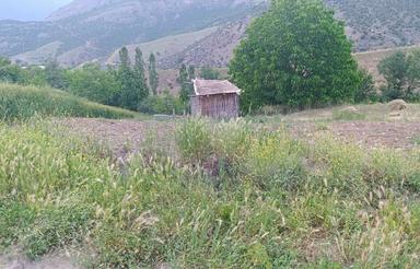 فروش فوری 400 متر زمین باغی
