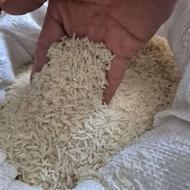 برنج سوزنی اعلا به شرط