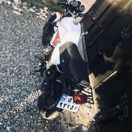 زبرا مدل98انژکتور