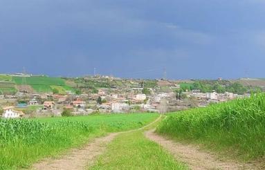 فروش زیر قیمت 1014 متر زمین در ساری(روستای کیاپی)