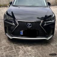 Nx300 2017