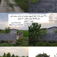 2600متر باغ مرکبات باخانه باغی درجاده خانه دریا