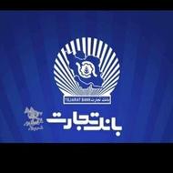 ضامن مهربانی باجت ضامن بی دردسر