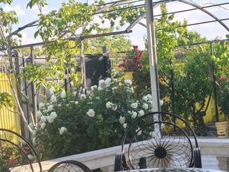 باغچه ویلای ارغوان برای جشن ها و مهمانی و دورهمی شما