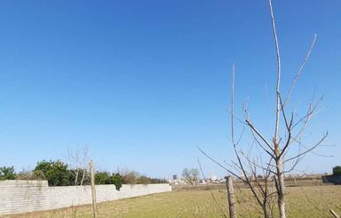 فروش یا معاوضه زمین سنددار